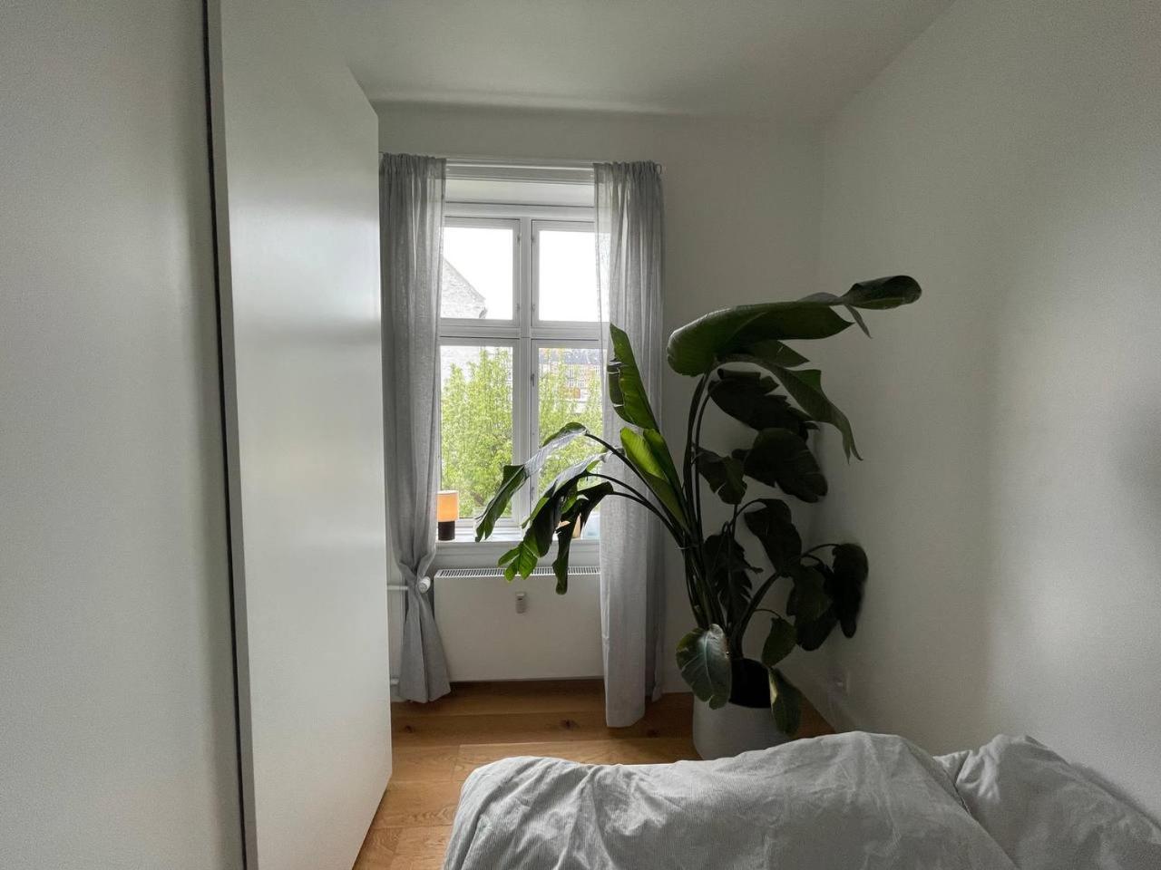 Lovely In Frederiksberg *