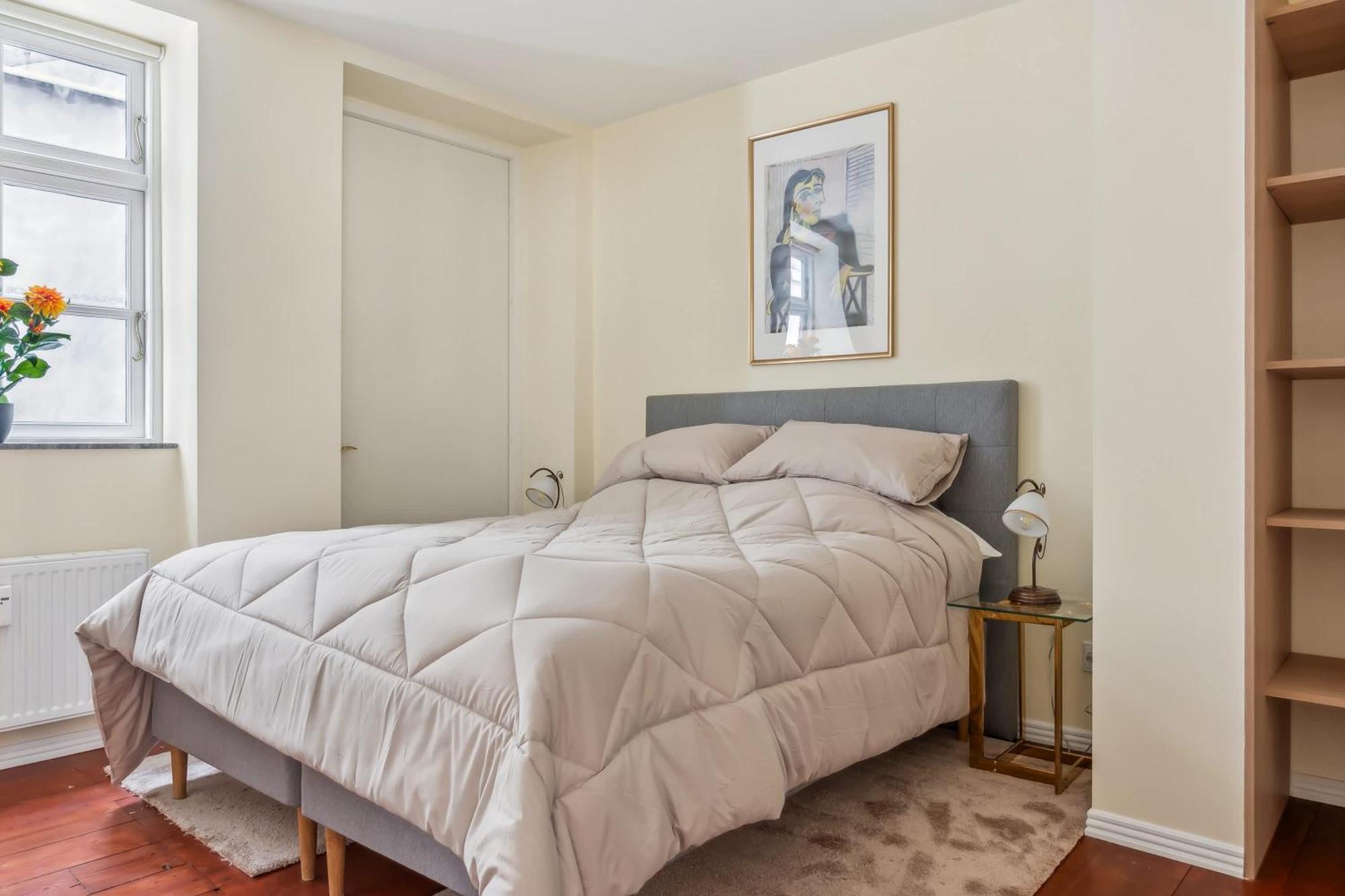 Lejlighed Luxury Flat - Walk To Nyhavn Tivoli & Metro *