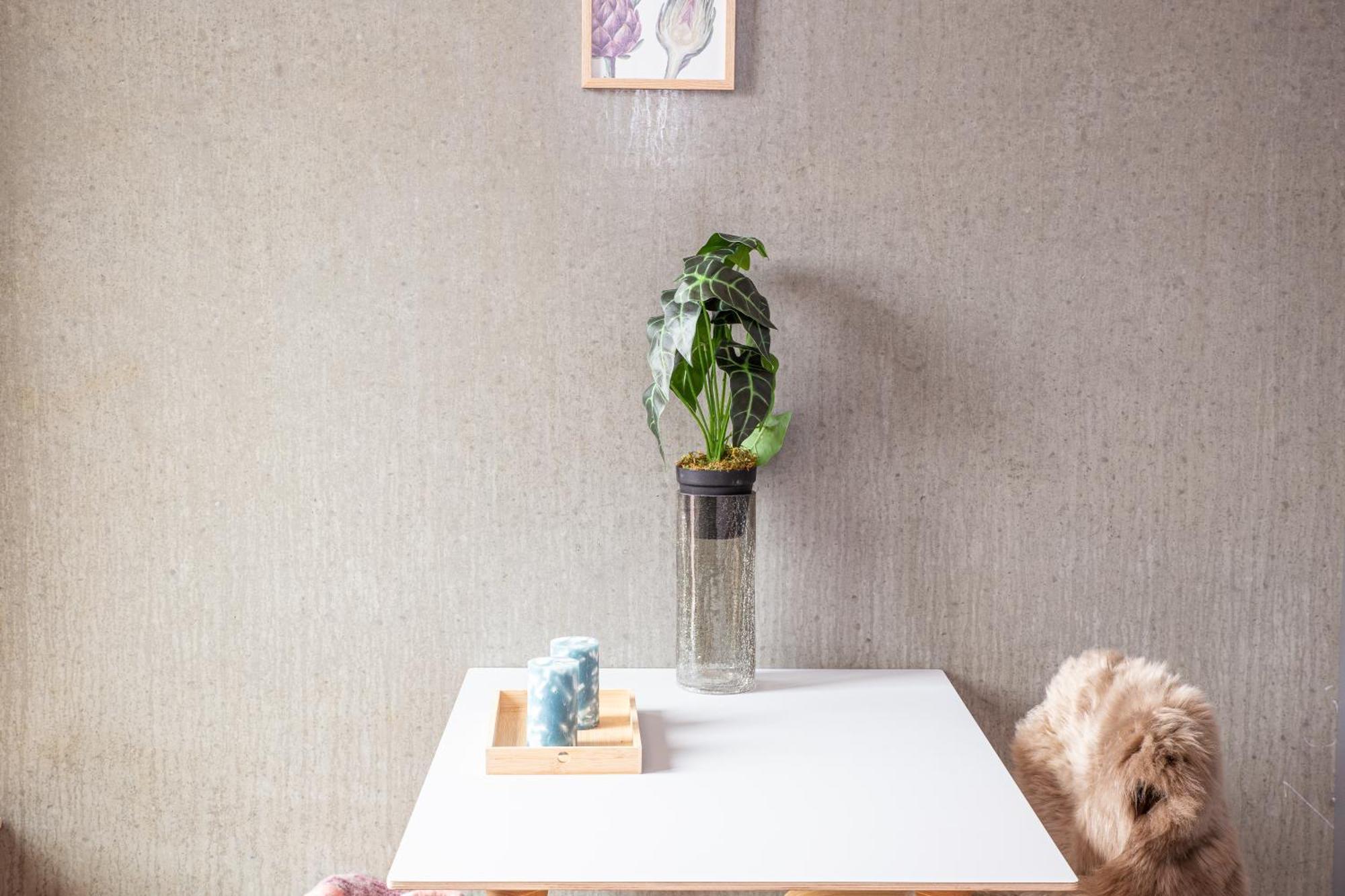 Living Apartment