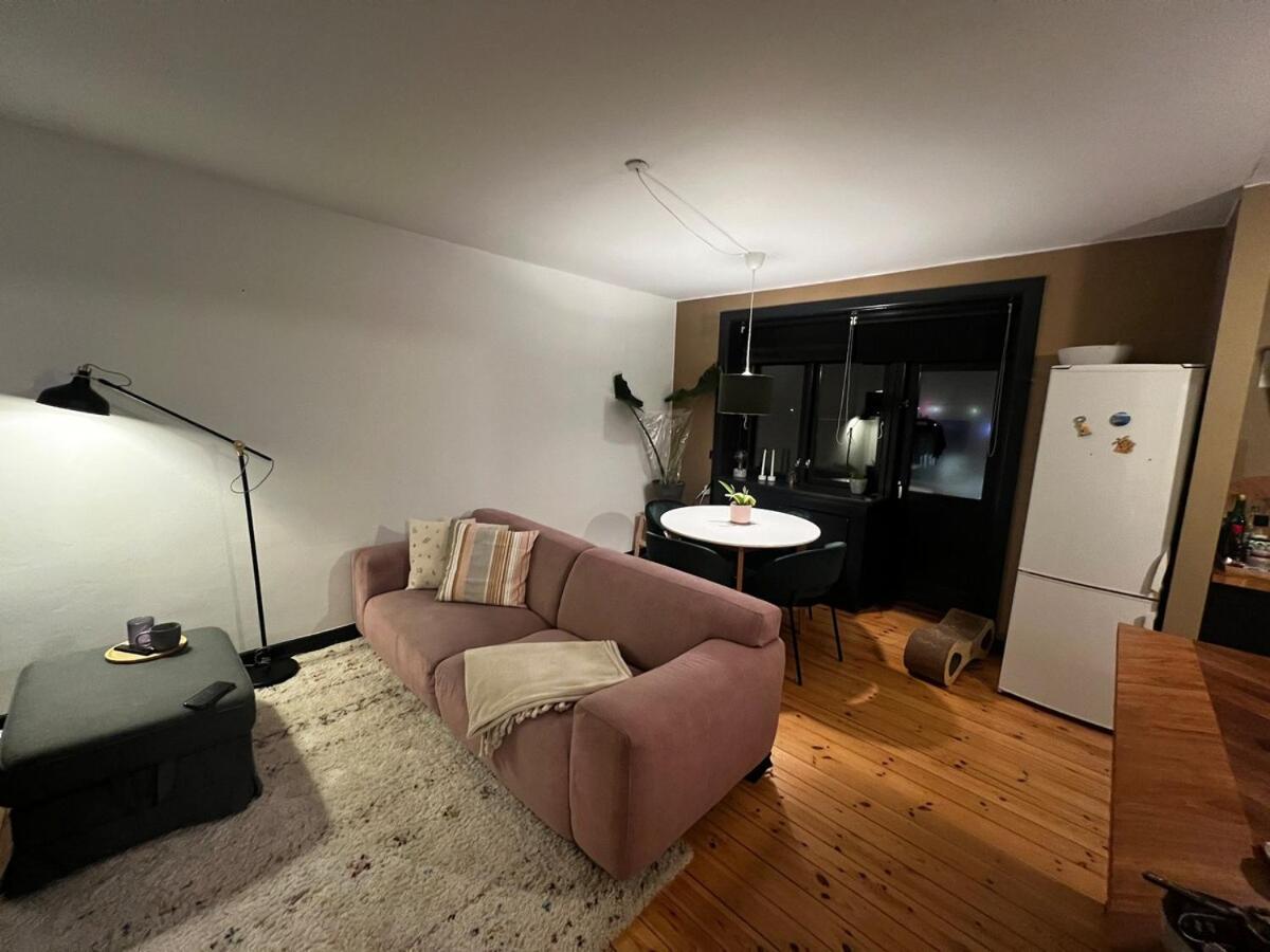 Cozy & Purrfect Cph Kopenhagen