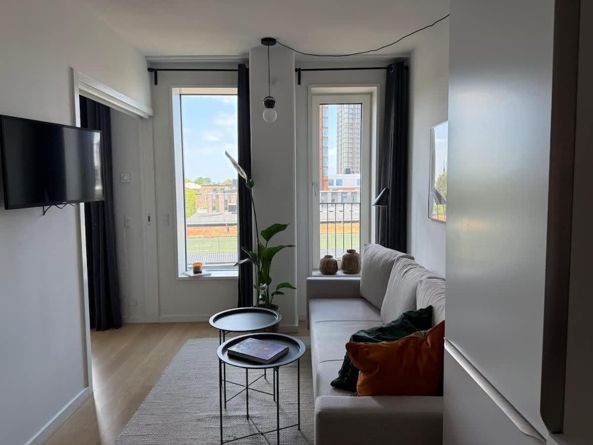 Elegant Cozy Modern