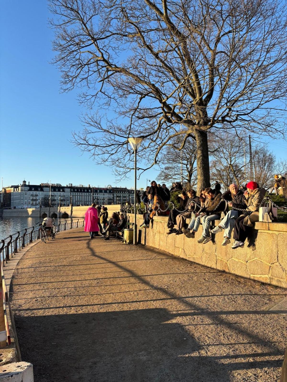 Unbeatable Cph Location - Local With Sunny Terrace Kopenhagen