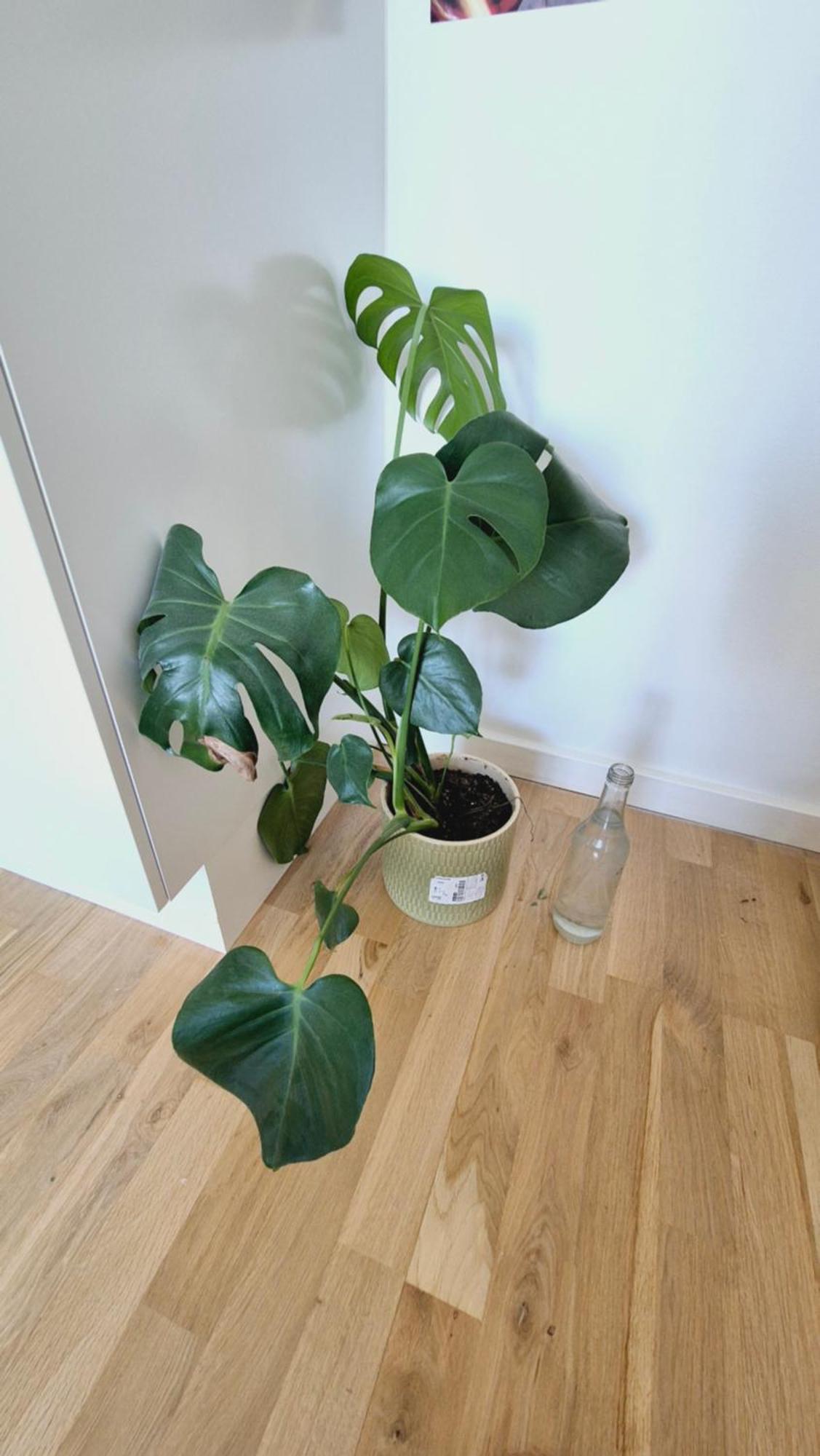 Apartment Spacious 120 Metres From Metro *