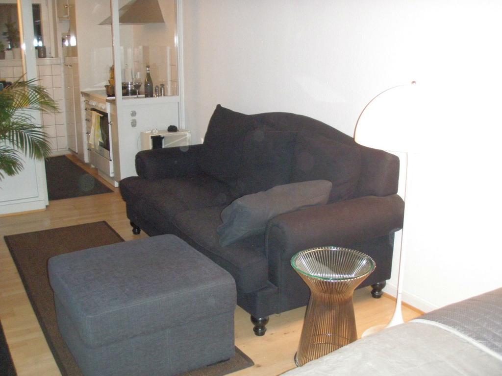 Nyborggade Apartment Copenhagen