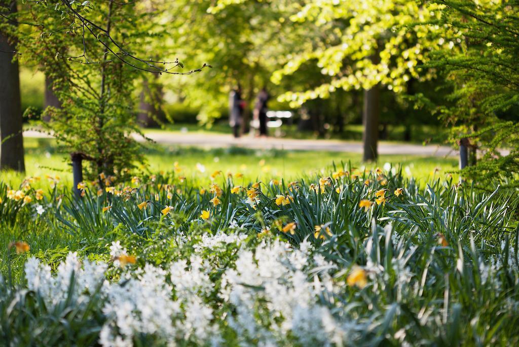 Bed & Breakfast Frederiksberg Mansion 3*