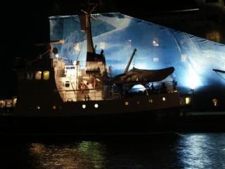 Arctic Janus Copenhague