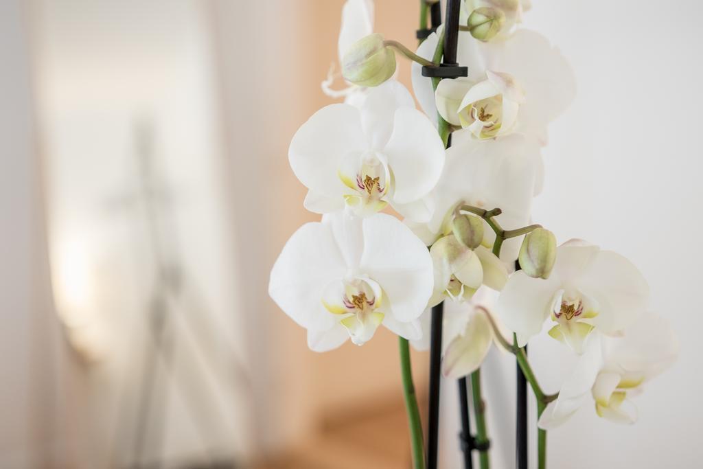 Appartement Gammeltorv
