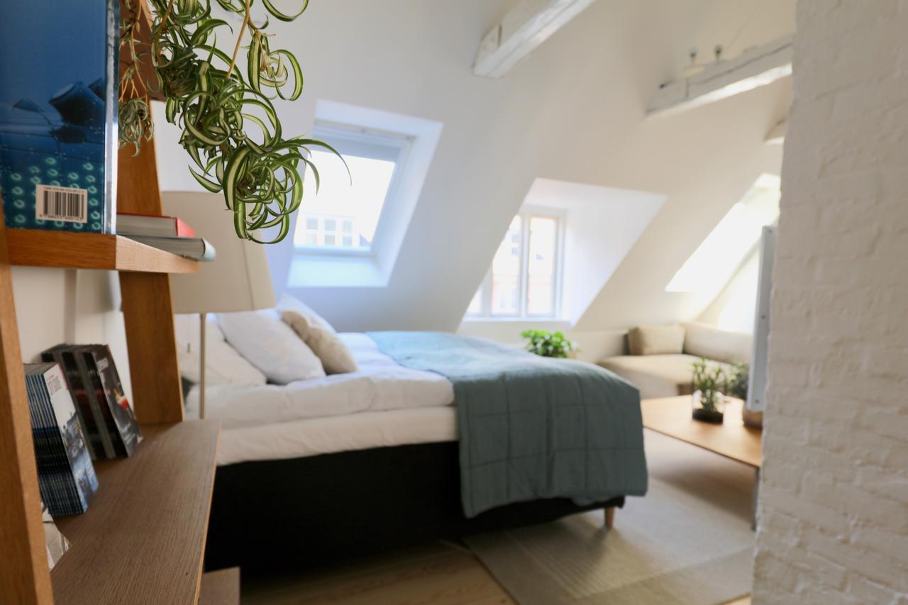Two-story By Nyhavn Harbour Apartamento *