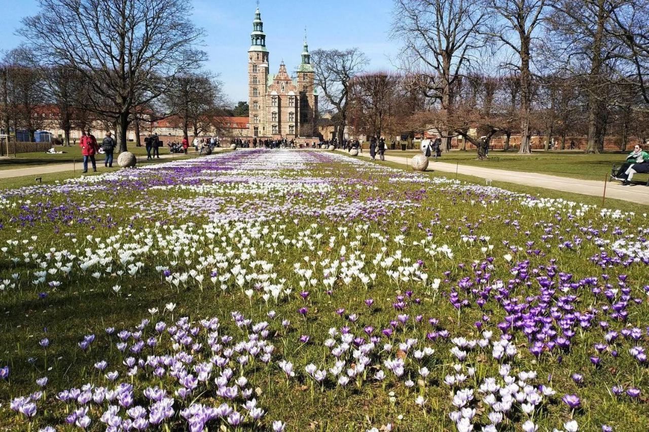 Bright, Spacious And Trendy In Cph * Copenhagen