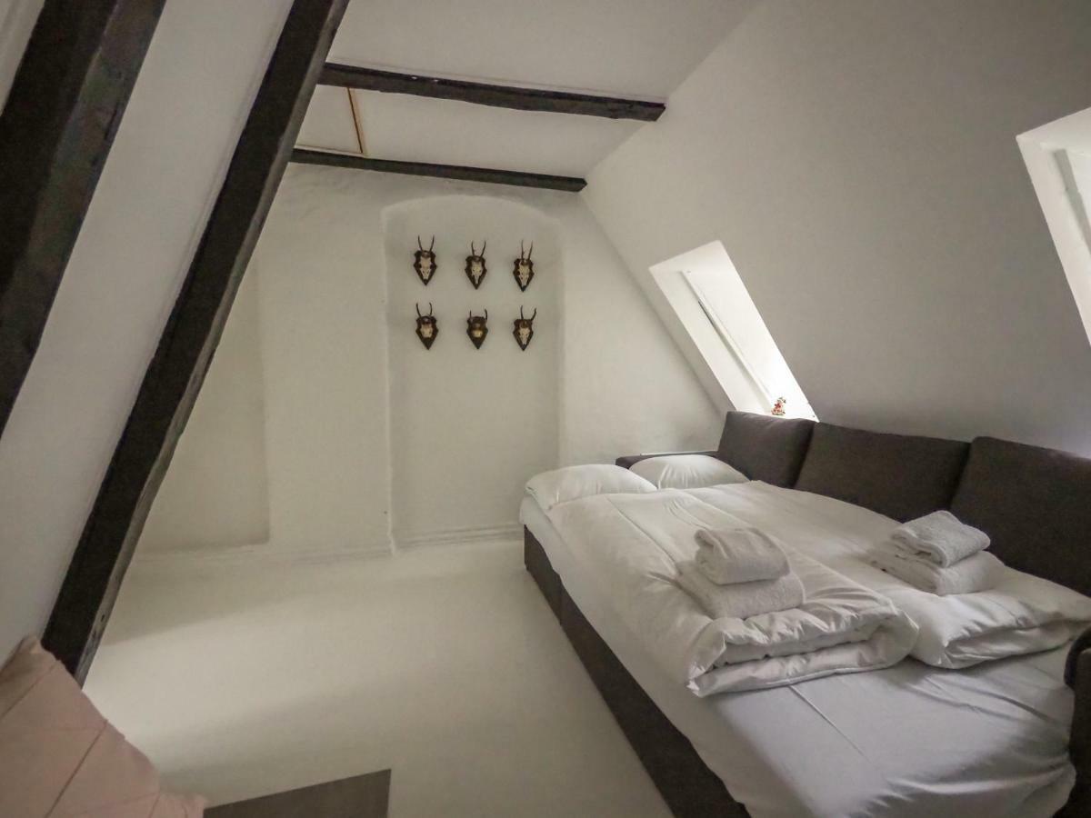 Historical Downtown Apartment *