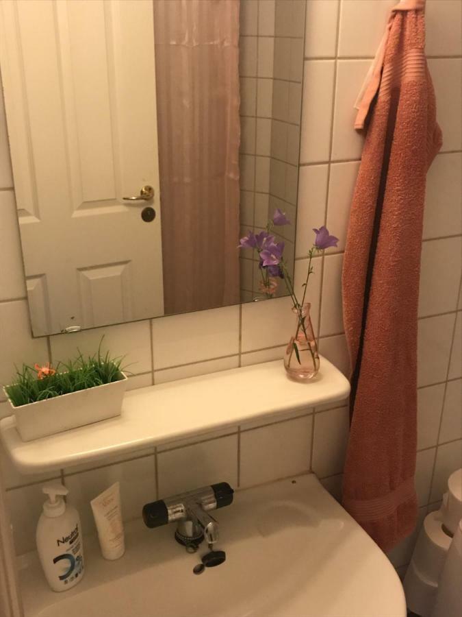 Charming Apart. 5 Min Walk From Central Station Copenhagen
