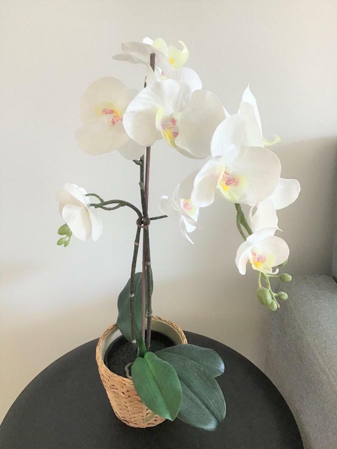 A Fantastic 3 Bedroom In Nordhavn Apartment *