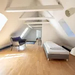 White Douplex Charm: Big Flat In The City Centre