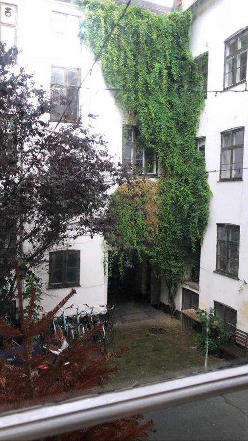 Cozy Right Next To The Hall * Copenhague
