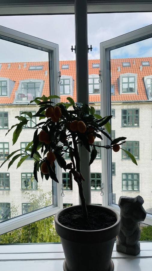Apartmentincopenhagen 1511 Kööpenhamina
