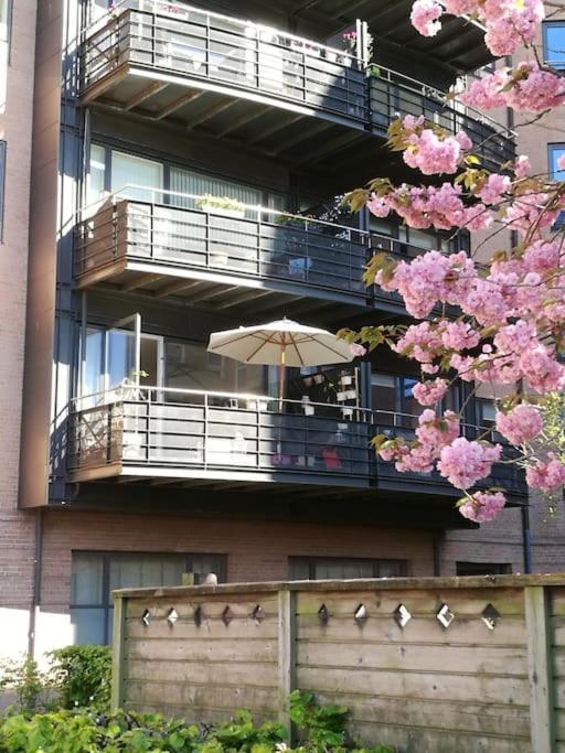 Apartment Perfect Situated For The Whole Family
