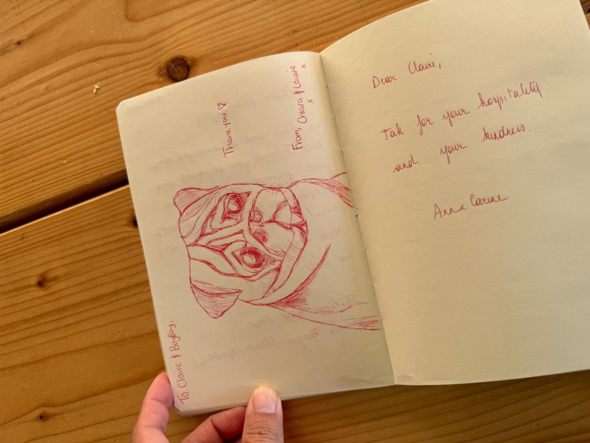 Homestay Cute Pug Guest Copenhagen