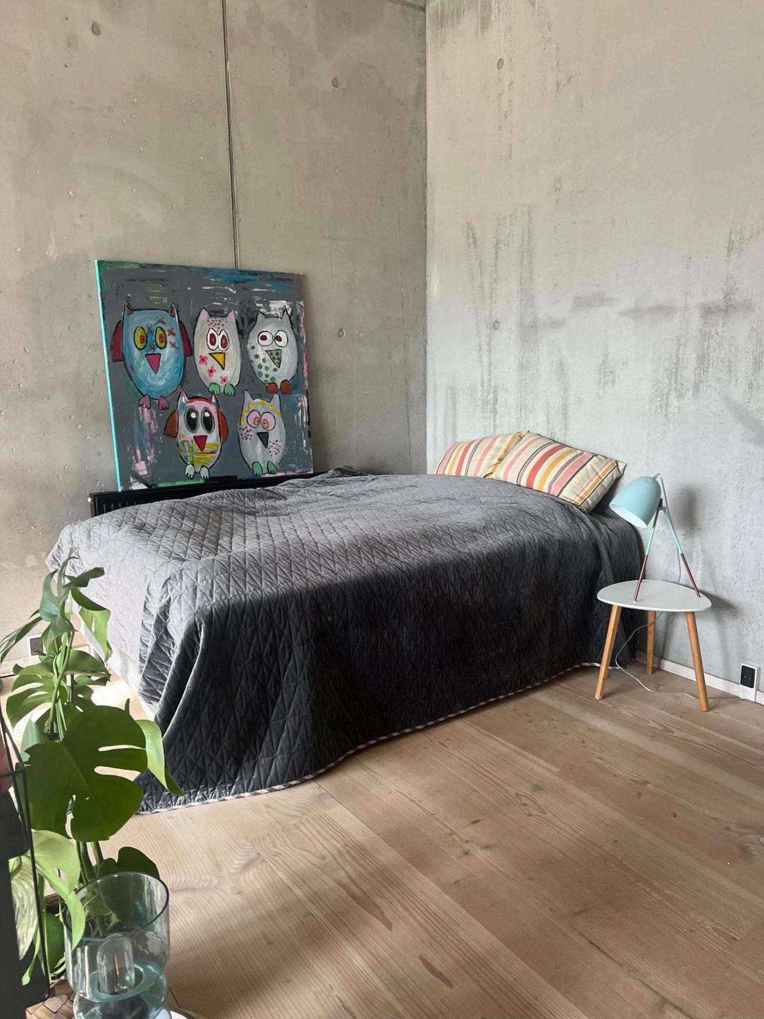 Large House In New York Style With A Private Rooftop Terrace. Kopenhagen