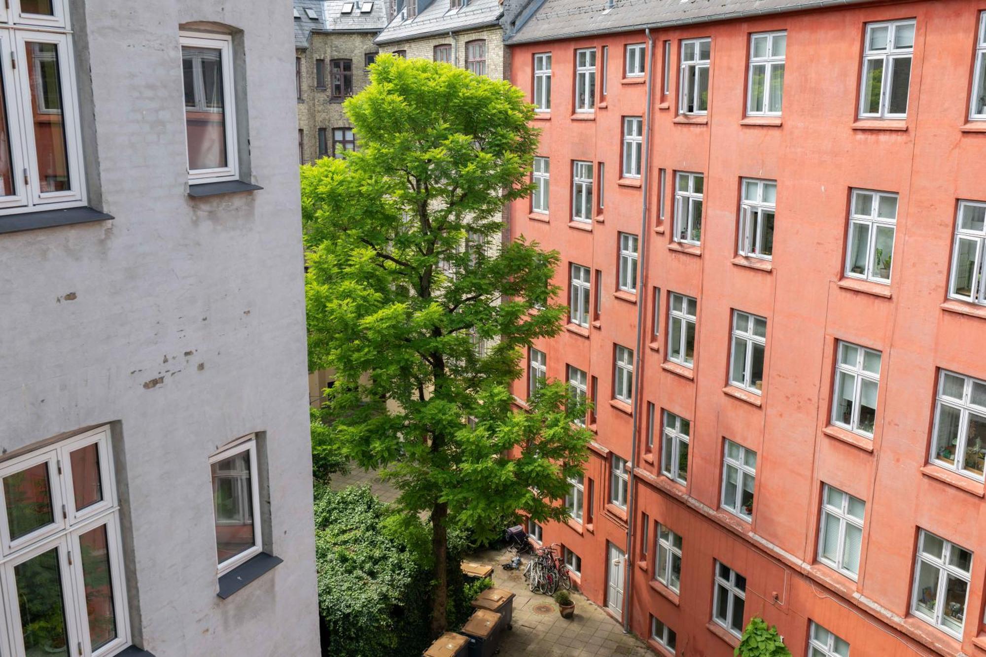 Lovely Flats In Vibrant Area Of Copenhague