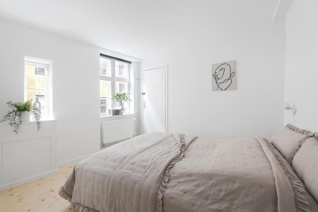 Appartement Charmerende Ved Nyhavn 1 Sal