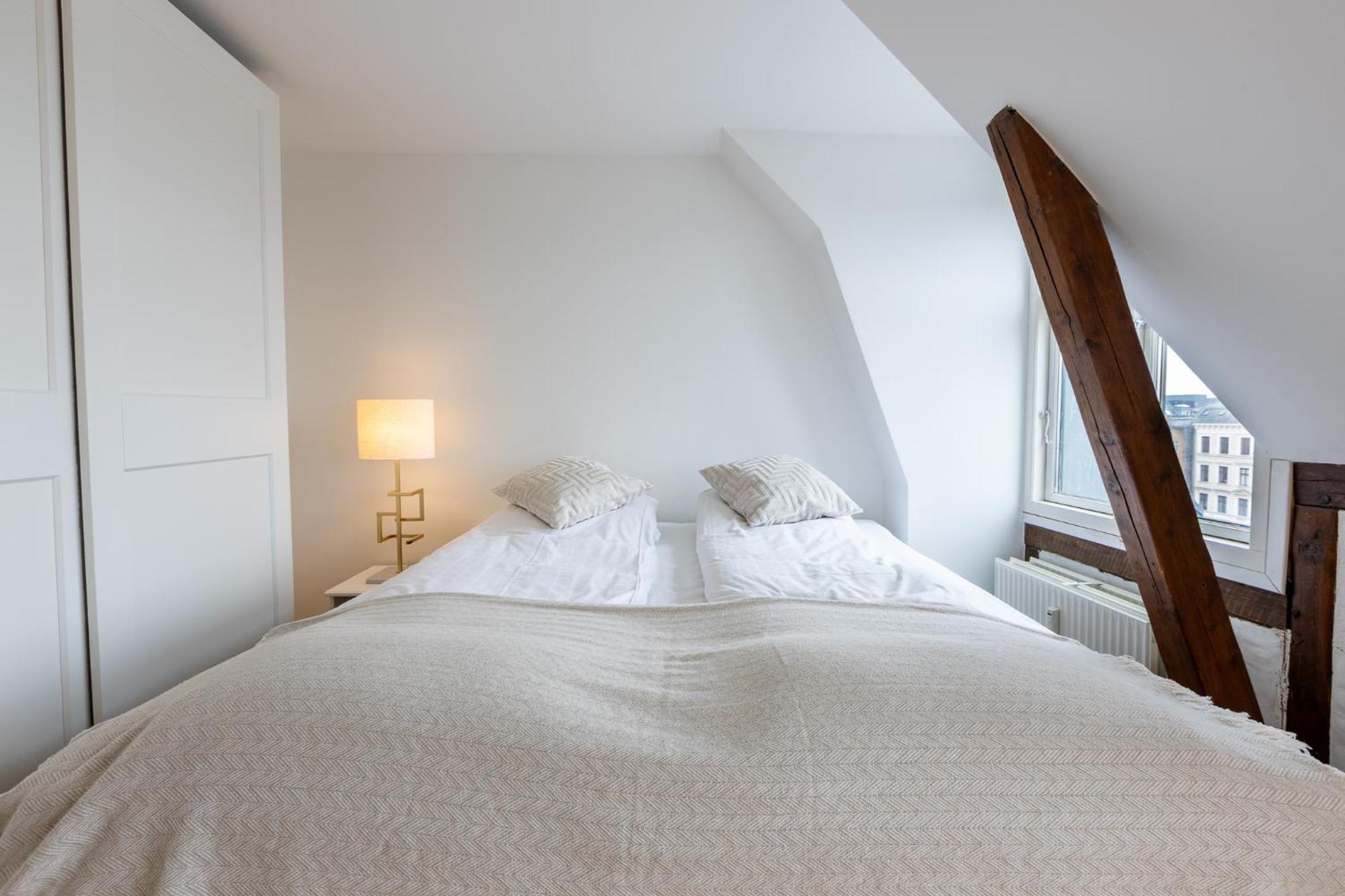 Penthouse In The Heart Of Apartment Copenhagen