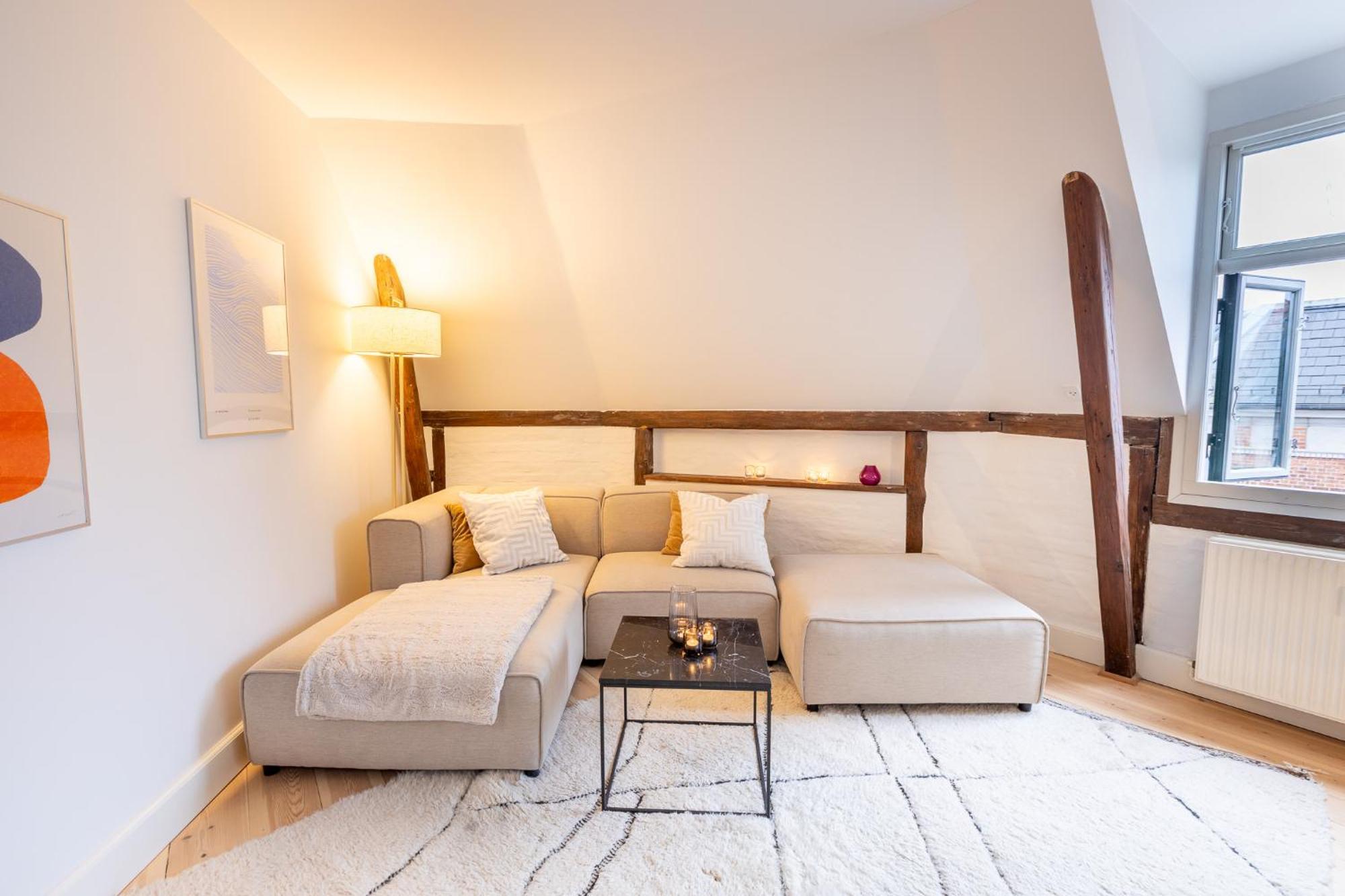 Penthouse In The Heart Of Apartment Copenhagen