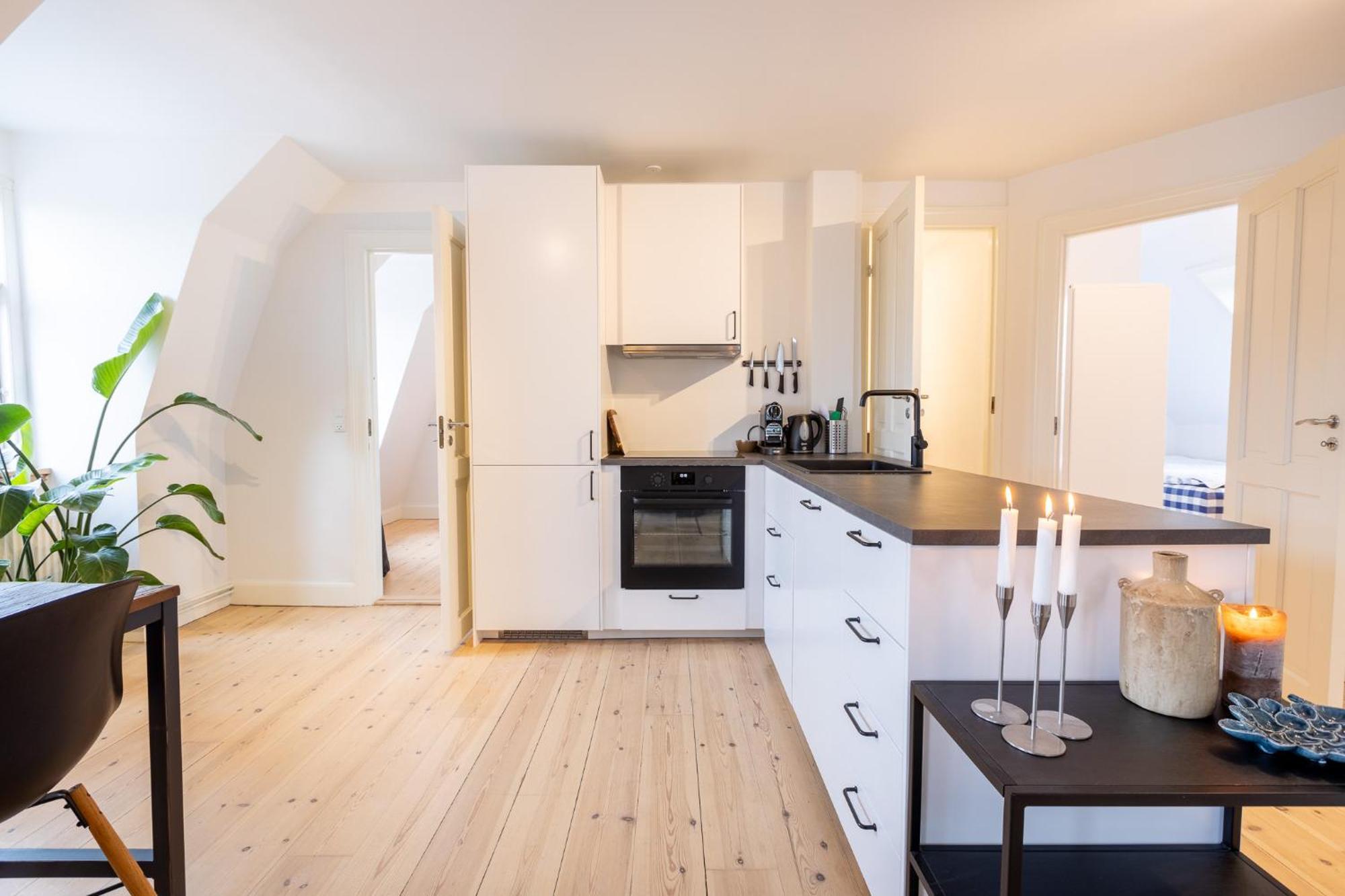 Apartment Penthouse In The Heart Of Copenhagen