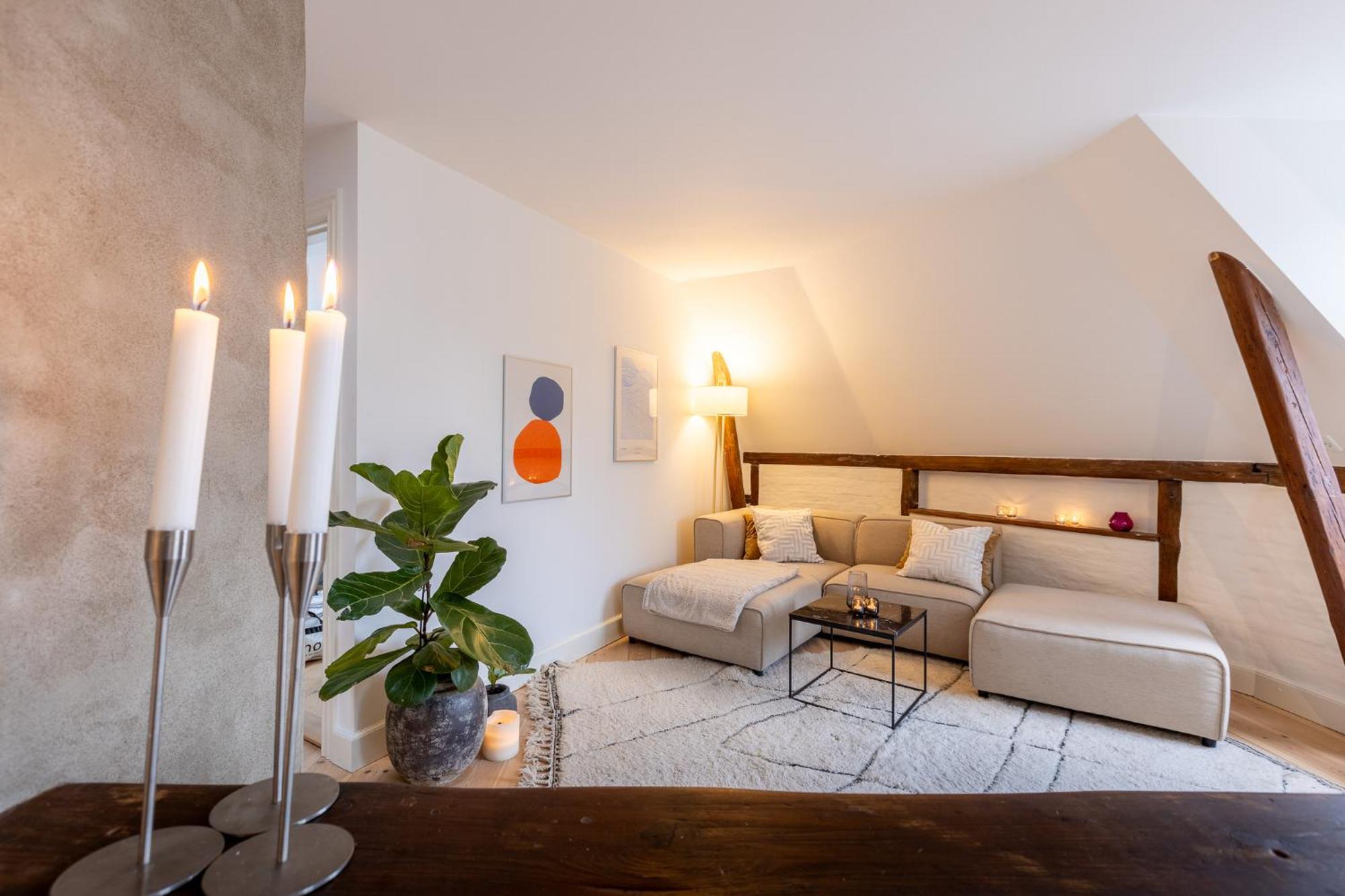 Penthouse In The Heart Of Apartment Copenhagen