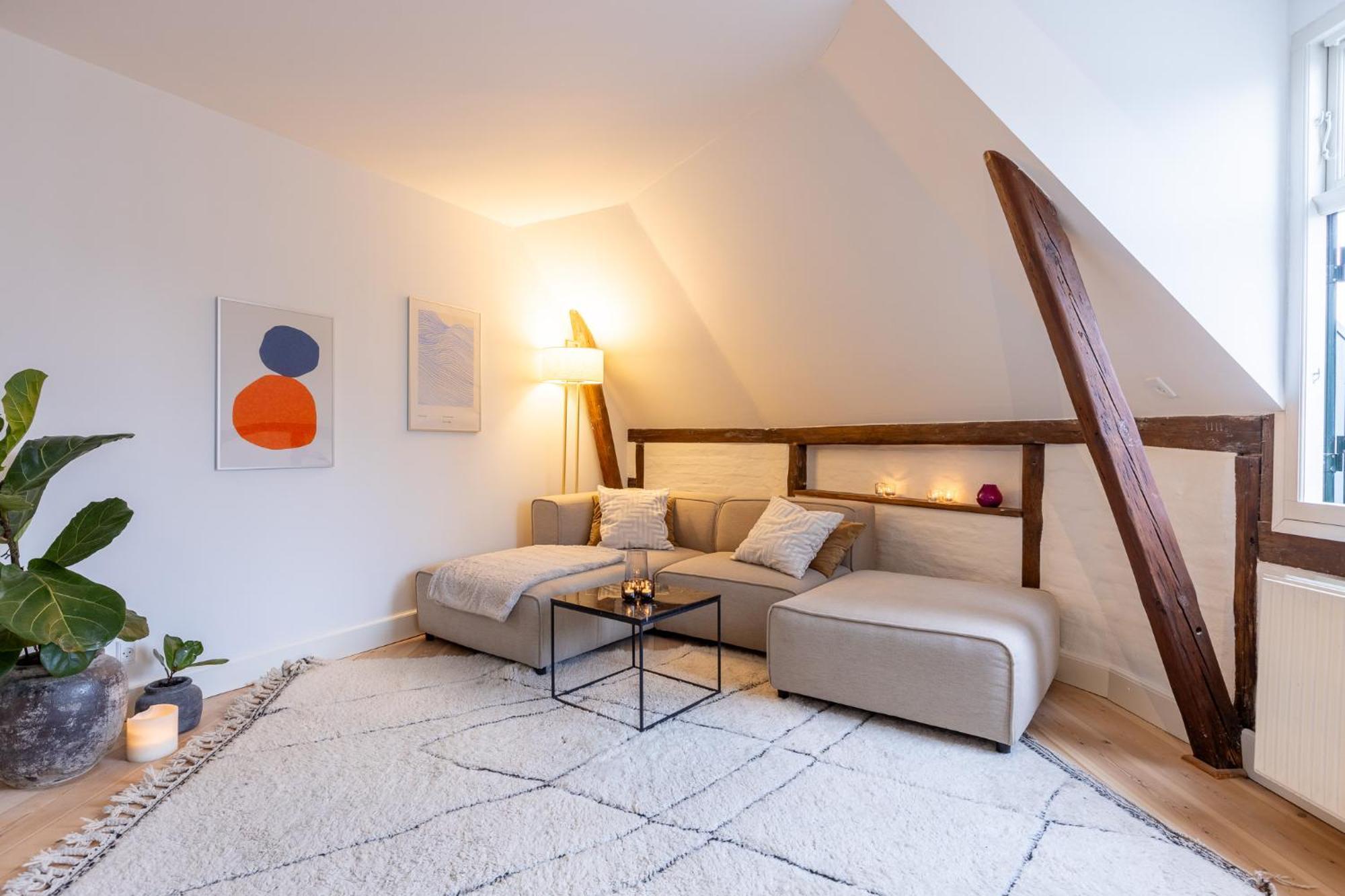 Apartment Penthouse In The Heart Of