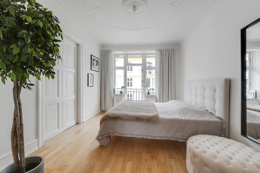 Attraktiv Pa Osterbro Apartamento Copenhaga