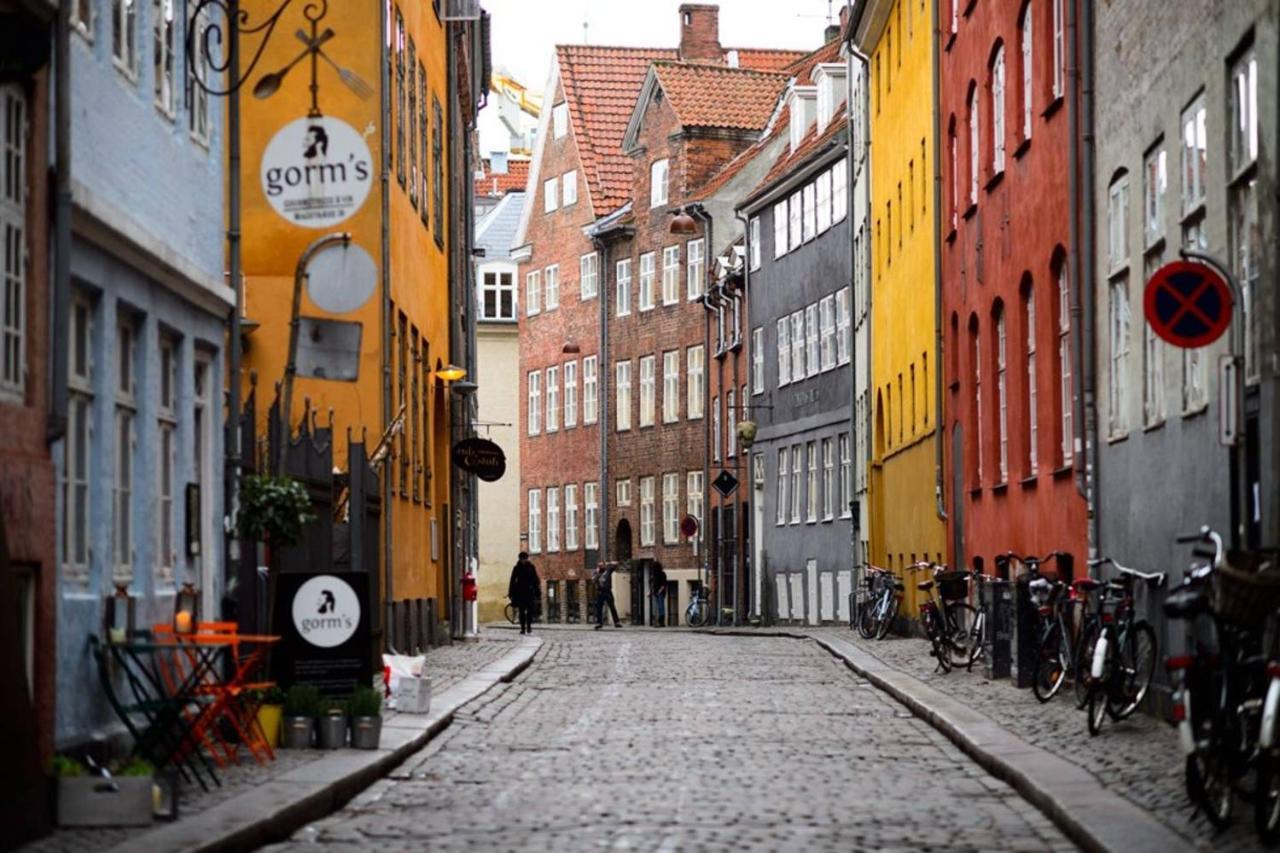 Lovely And Homey Flat In A Great Neighborhood! Copenhaga