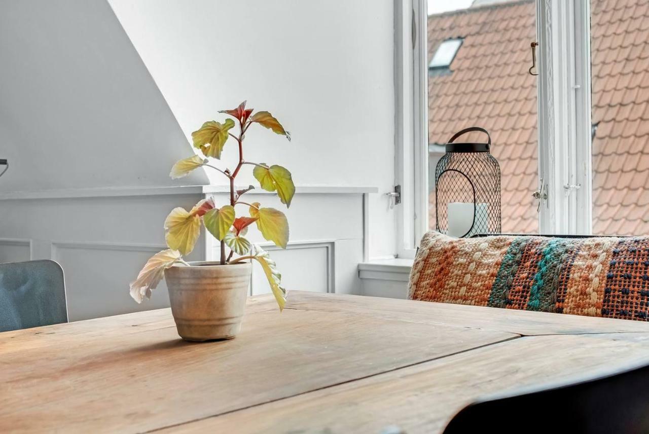 Appartamento Cosmopolitan And Cozy Flat In The Center Of Cph Copenaghen