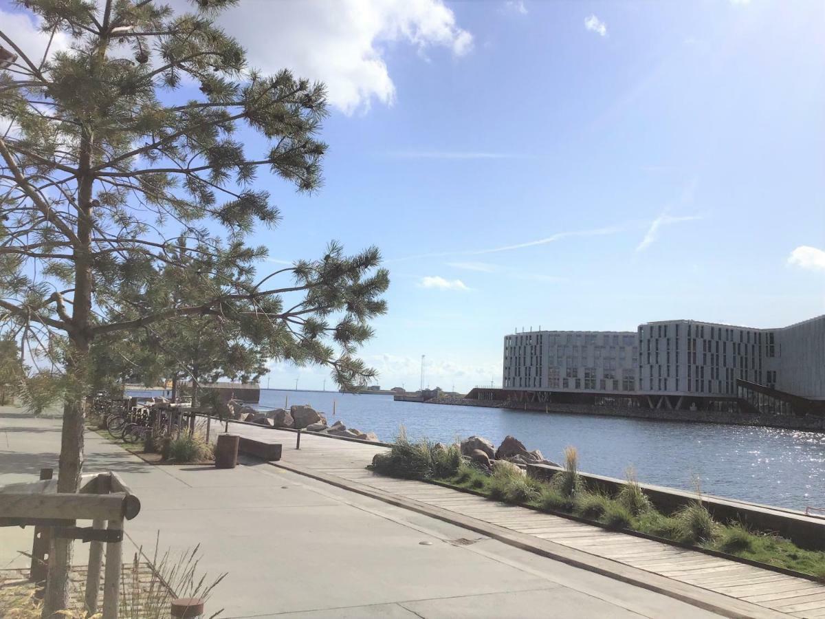 Apartment A Fantastic 3 Bedroom In Nordhavn Copenhagen