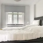Stylish Classic Danish Design Apartment