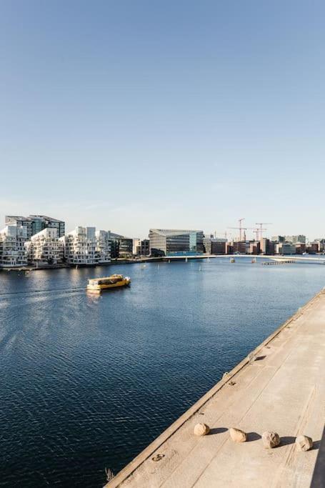 Penthouse W. Private Rooftop At The Waterfront Appartement Copenhague