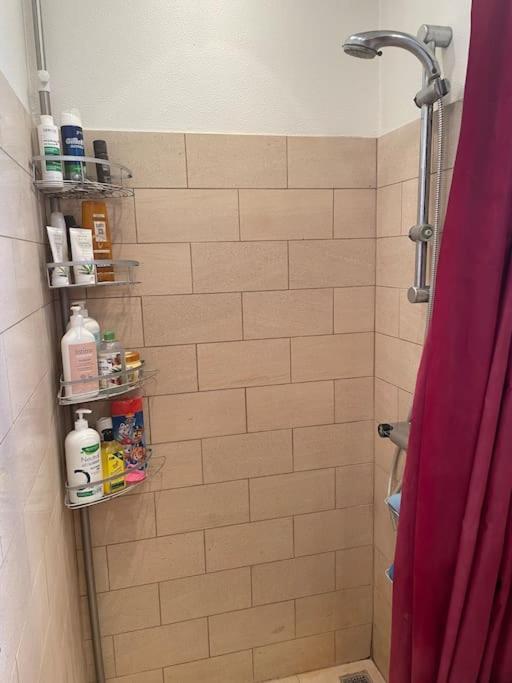 Apartment Familievenlig Taet Pa Amager Copenhagen