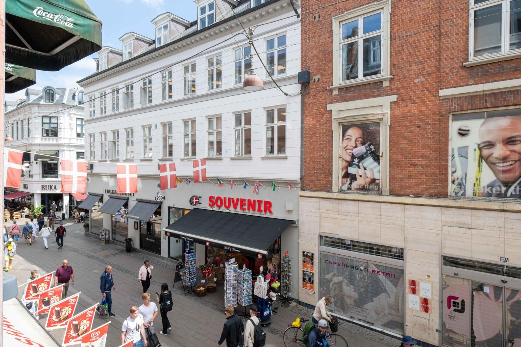 Perfect City-Break Apartment In Cph