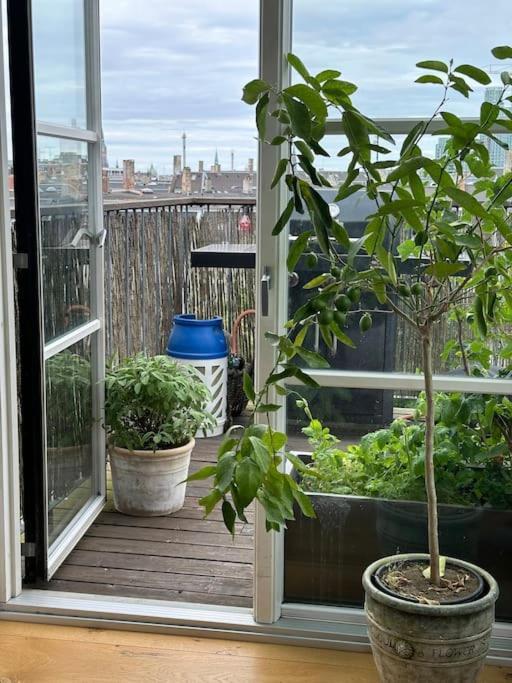 Penthouse Med Egen Tagterrasse * Copenhague