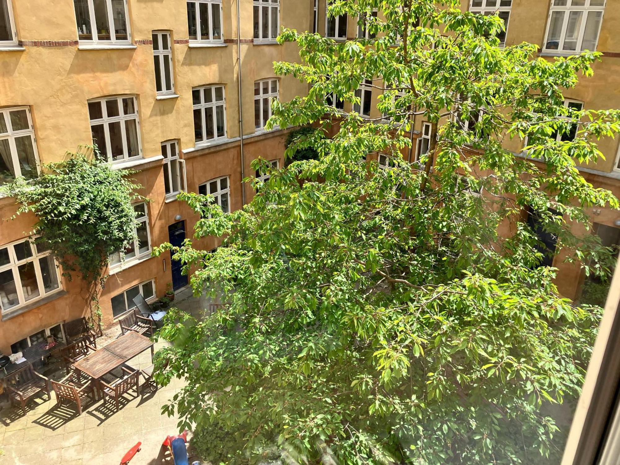Central N Apartment *