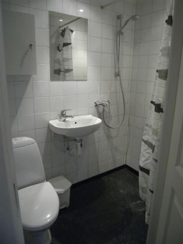 Viborggade Apartment Kopenhagen