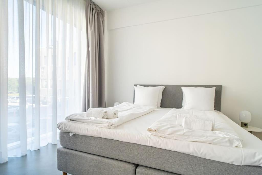 Scandinavian Premium Atelier - Spacious Comfort Appartamento *