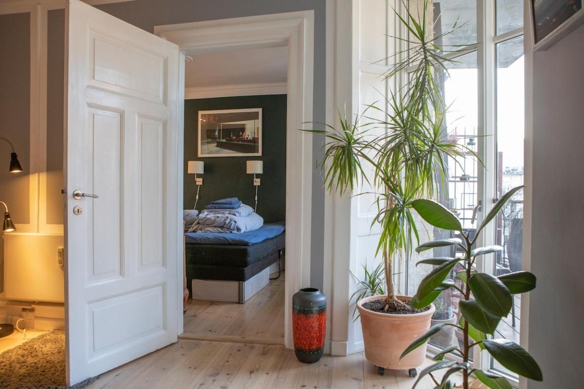 Beautiful And Classic Apartamento
