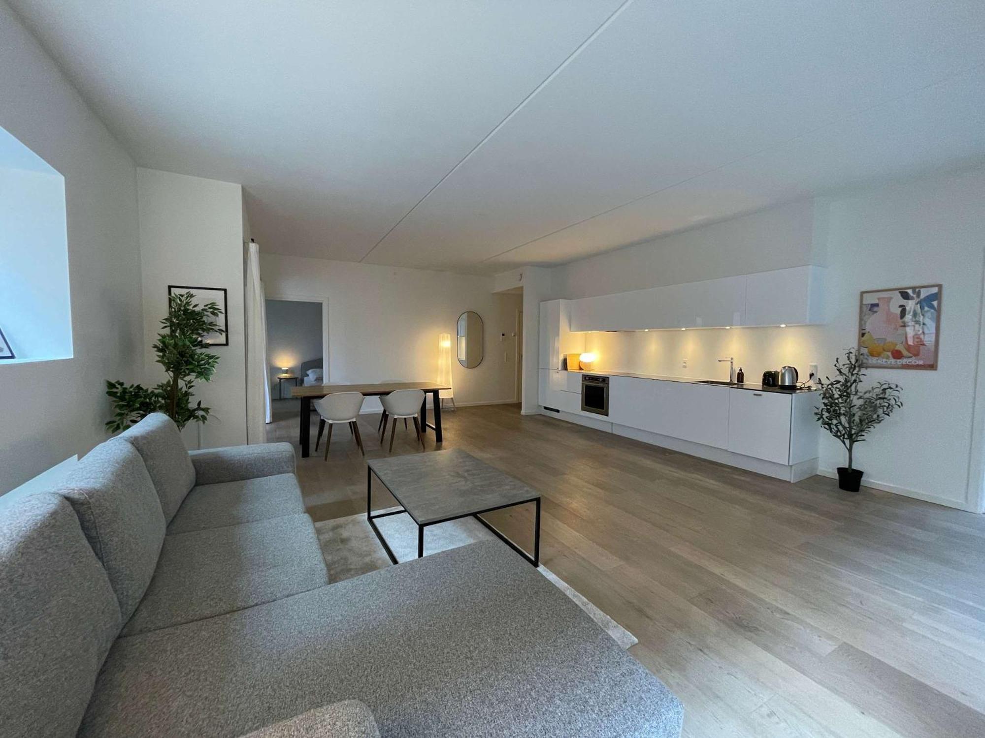 Apartment Nordhavn Luxury Penthouse *